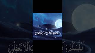 Recitation of Quran  surah Al Baqarah trending duet viralshort shorts view recitation [upl. by Ahsekan]