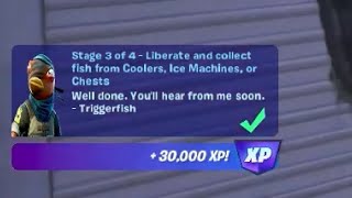 Liberate and collect fish Coolers Ice Machines or Chests Fortnite [upl. by Acimehs]