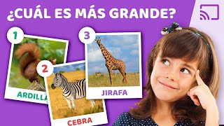 ADIVINA el ANIMAL  TEST de 15 preguntas para NIÑOS de PRIMARIA sobre ANIMALES  5 a 6 años [upl. by Llenor]