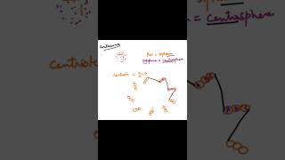 Centriole diagram explained neetbiology apbiology exam [upl. by Liv292]