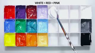 How to Create 19 New Colors Using Red Yellow Blue Black amp White  Satisfying Acrylic Paint Mixing [upl. by Nyla]