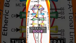 THROAT Chakra Healing The 5th Dimension 5D “Archetype” Higher Self Consciousness [upl. by Frodeen692]