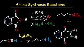 Amine Synthesis Reactions Organic Chemistry  Summary amp Practice Problems [upl. by Lorant]