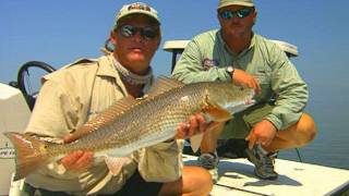 Sight Fishing the Flats for Redfish in Homosassa Springs Florida [upl. by Edmonda]