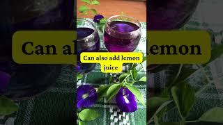 How to Make Butterfly Pea Flower Tea for Health Benefits shorts [upl. by Aerdua506]