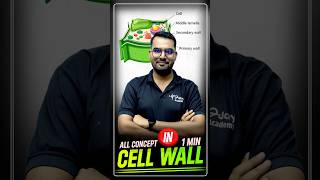 Why Bacteria Have Cell Walls and Why We Need Them shorts viralshorts cellwall [upl. by Sharma493]