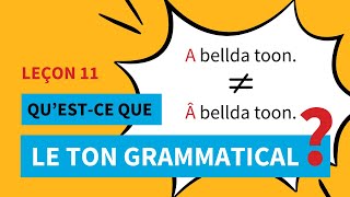 Orthographe Le ton grammatical  Leçon 11 [upl. by Brier]