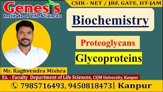 Proteoglycans  Glycoproteins  Lecture7  New online quotBatchquot for CSIR NETJRF  IITJAM [upl. by Tyson]