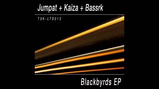 T3K LTD012 Jumpat  quotBreakers Revengequot Kaiza  Bassrk Remix [upl. by Ahsonek890]