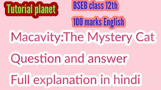 MacavityThe Mystery Cat Question and answer full explanation in hindiTutorial planet [upl. by Anilem]