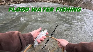 INSANE FLOOD WATER FISHING PA Trout Season Opener [upl. by Toy]