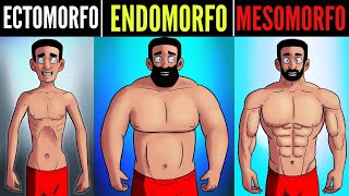 AS VANTAGENS E DESVANTAGENS DE CADA BIOTIPO ECTOMORFO ENDOMORFO E MESOMORFO [upl. by Tomas228]