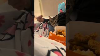 😆😅🐈‍⬛cat food foryou dogfunnyloveroséapttrendingshortsfypnewytshortshowtoviral路飞海贼王 [upl. by Bilicki257]