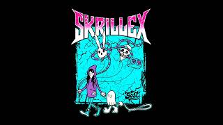 Skrillex  Scatting [upl. by Winer199]