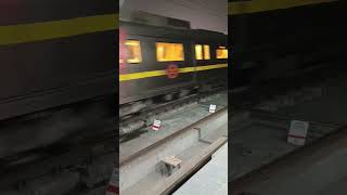 霧の中に消えていくデリーメトロの始発電車 delhi metro departure インド電車 delhimetro metro 通勤電車 霧 大気汚染 デリーメトロ 電車 [upl. by Acilef16]