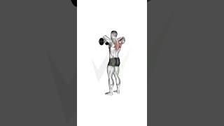 Dumbbell Upright Rows Strengthen Your Upper Back amp More fitnesstips motivation backworkouttips [upl. by Melonie]