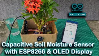 Capacitive Soil Moisture Sensor with ESP8266 OLED Display amp Arduino IoT Cloud [upl. by Nanfa]