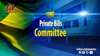 Private Bills Committee  December 10 2024 [upl. by Barcellona]