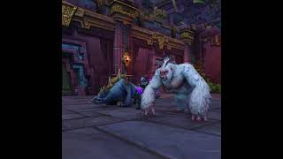 New hunter pet available in game Grong the gorilla worldofwarcraft thewarwithin hunters [upl. by Sylvia]