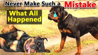 10 Critical Signs that Indicates Your Rottweiler Dog is Dying [upl. by Yrram57]