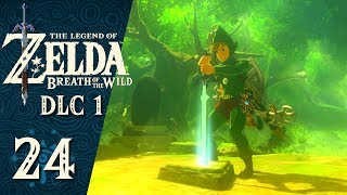 Zelda Breath of the Wild 24 FR DLC 1  Épreuves de lépée  costumes [upl. by Notsruht]