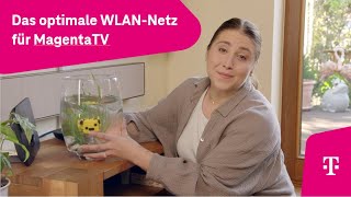 Telekom Das optimale WLANNetz für MagentaTV 23 [upl. by Seaden418]