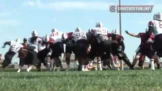 Gamecock Football Spring Practice Highlights  April 3 2014 [upl. by Dita]