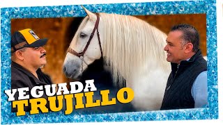 Chuy Lizárraga  El Vlog  Yeguada Trujillo  Música  Caballos  Toros y Gallos [upl. by Sillek]