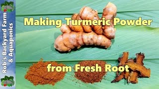 How To Store Raw Turmeric at home  storage of fresh turmeric  how to store turmeric for long time [upl. by Llejk]