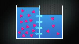 Diffusion Osmosis and Tonicity [upl. by Yarehs]