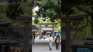 Pourquoi un touriste américain atil osé vandaliser le sanctuaire sacré de Meiji Jingu [upl. by Mya]