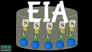 Enzyme Immunoassay  EIA  ELISA [upl. by Zsamot]