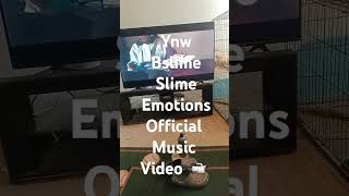 Ynw bslime slime emotions official music video 📹 [upl. by Llien]