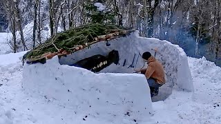 3 DAYS Build a survival shelter in the snow a snow wallMy Life in the Jungle [upl. by Nnave]