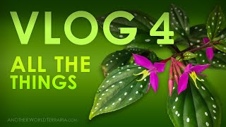 Terrarium Vlog 4 All the Things [upl. by Phila]