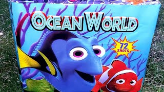 OCEAN WORLD 7️⃣2️⃣ Shots 500g Firework [upl. by Latoyia210]