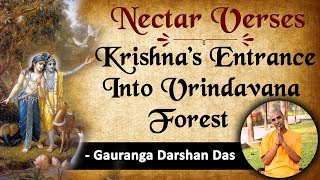 Krishna’s entrance into Vrindavana forest  Nectar Verses SB 10215  Gauranga Darshan Das [upl. by Salita]