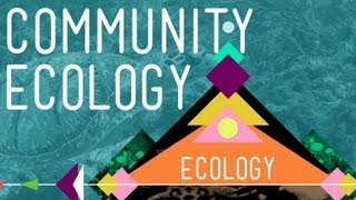 Community Ecology Feel the Love  Crash Course Ecology 4 [upl. by Nunci862]