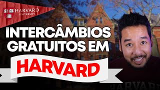 COMO FAZER UM INTERCÂMBIO EM HARVARD DE GRAÇA [upl. by Eyla388]