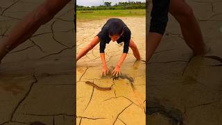 Farmer Animal video  shorts viralshorts [upl. by Avram5]