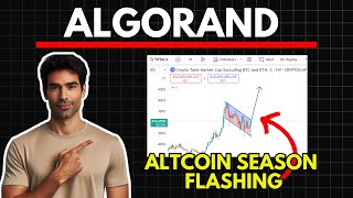 ALGORAND Massive Altcoin Season Update  Algorand Price Prediction [upl. by Nortyad]