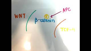 An Easy Way to Remember Familial Adenomatous Polyposis [upl. by Alegnad229]