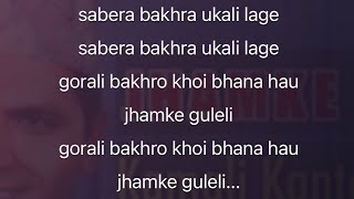 Jhamke guleli karaoke Track With lyrics  Jhamke guleli karaoke  jhamke guleli track [upl. by Kylila]