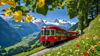 World’s Most Scenic Train Journey in Switzerland  Schynige Platte  Top of Swiss Tradition [upl. by Naamana112]