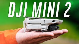 The best drone under 500 DJI Mini 2 review [upl. by Garap163]