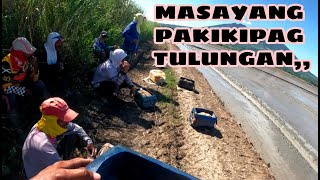 VLOG775 PAGTULONG KAY KUYA EDDIE SA PAG SABOG NG PALAY🌾🌾 [upl. by Ahsienat]