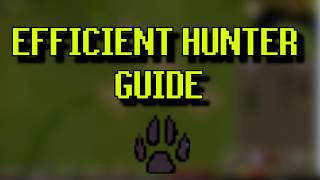 Efficient Red Chinchompa Hunter Guide 185k XPHr [upl. by Jen887]