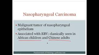 Respiratory tract chap 9 part 1 pathoma [upl. by Ainad]