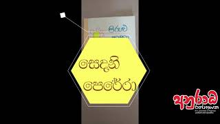 පිරුළු කතා pirulu katha anuradha rathnayaka [upl. by Enilreug]