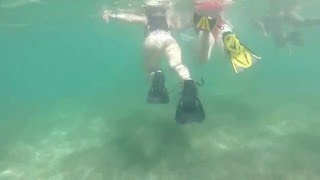 Snorkeling in Akumal Bay  Mexico  GoPro 3 [upl. by Kenta]